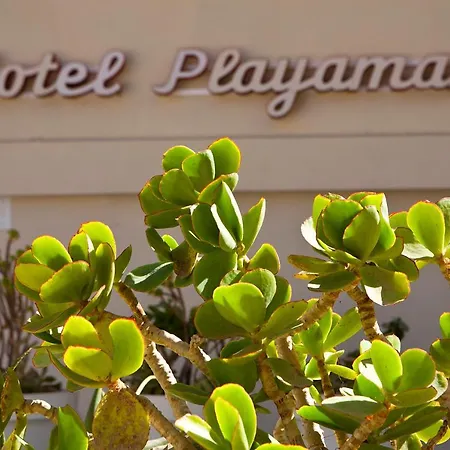 Bj Playamar & ס'לוט